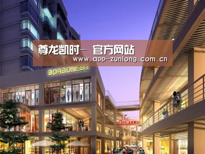 案例展示一(图1)