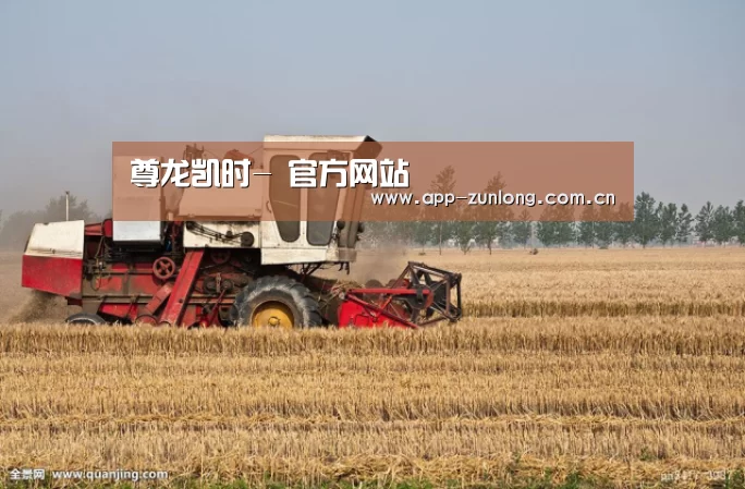 产品名称七(图1)