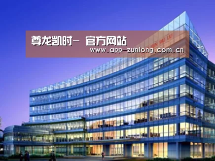 案例展示五