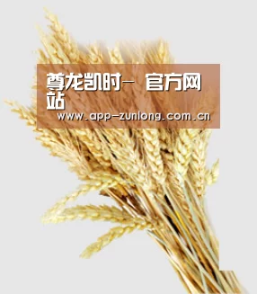 尊龙凯时- 官方网站