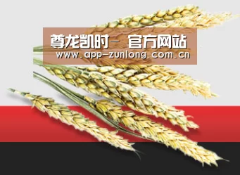 尊龙凯时- 官方网站