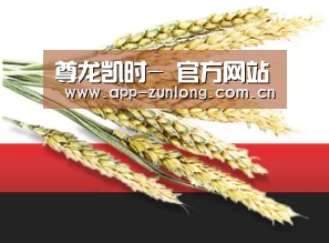 尊龙凯时- 官方网站
